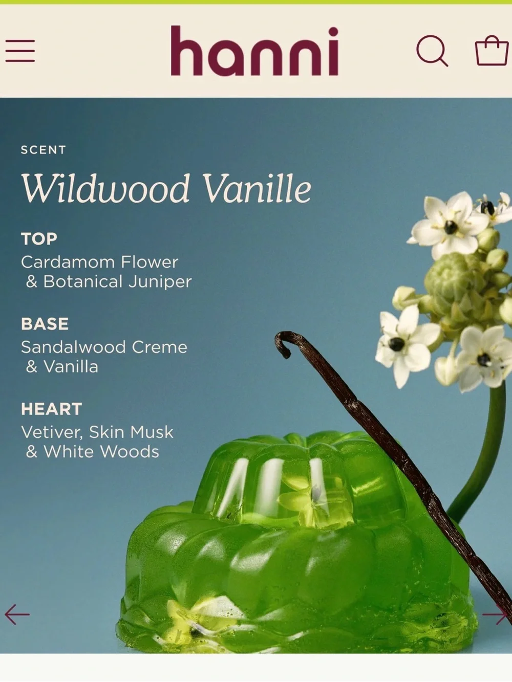 Hanni Wildwood Vanille Water Balm Duo
